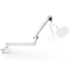 InnoGear Low Profile Mic Arm, 360° Rotatable Microphone Boom Arm Mic Stand for Fifine AM8 K669B Blue Yeti HyperX QuadCast SoloCast AT2020, with Mic Clip 3/8" to 5/8", 3/8" to 1/4" Adapter, White