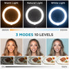 InnoGear Ring Light for Iphone, 10" Selfie Ring Light with Arm Stand Overhead Camera Mount LED Selfie Light with Phone Holder Remote Desk Light Canvas Lamp for Video Recording TikTok Live Stream