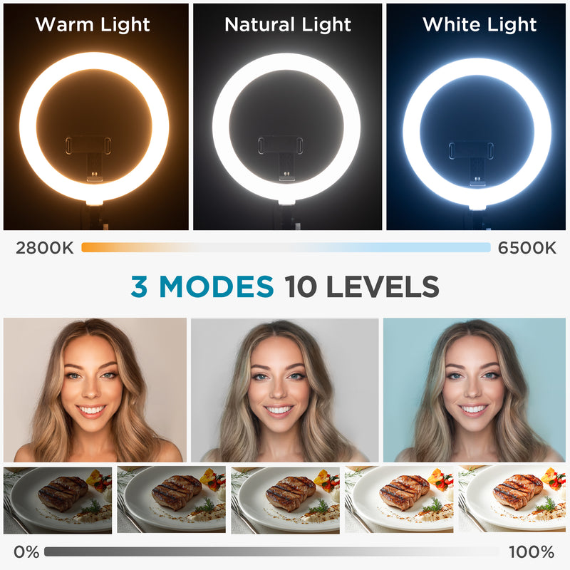 InnoGear Ring Light for Iphone, 10" Selfie Ring Light with Arm Stand Overhead Camera Mount LED Selfie Light with Phone Holder Remote Desk Light Canvas Lamp for Video Recording TikTok Live Stream