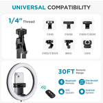 InnoGear Ring Light for Iphone, 10" Selfie Ring Light with Arm Stand Overhead Camera Mount LED Selfie Light with Phone Holder Remote Desk Light Canvas Lamp for Video Recording TikTok Live Stream